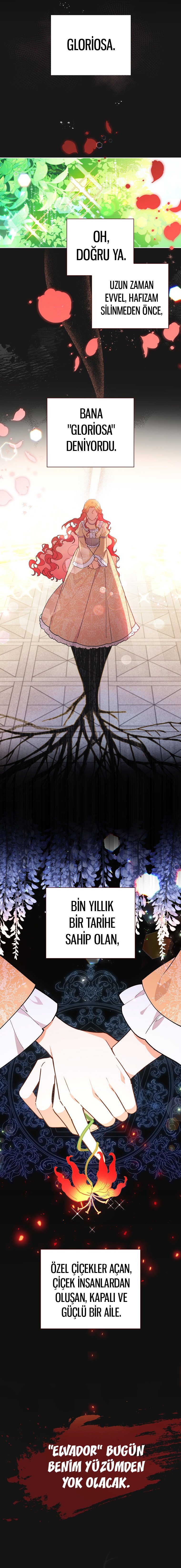 Çiçekleri Yeşerten Küçük Leydi İLK BÖLÜMÜ OKUMAYA GİT - Sayfa 3