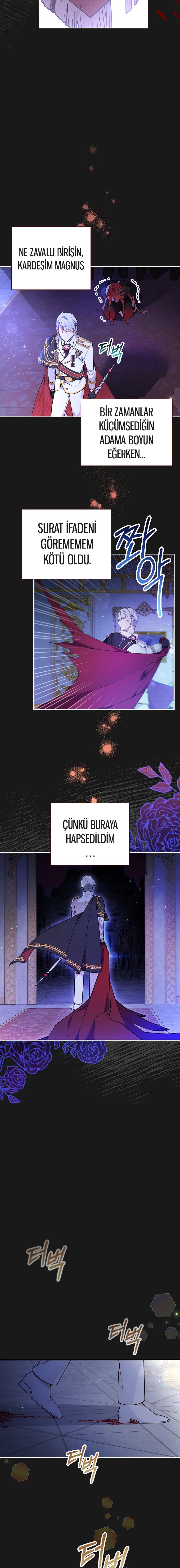 Çiçekleri Yeşerten Küçük Leydi İLK BÖLÜMÜ OKUMAYA GİT - Sayfa 6