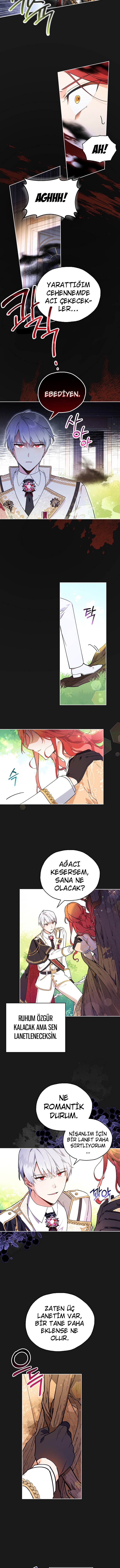 Çiçekleri Yeşerten Küçük Leydi İLK BÖLÜMÜ OKUMAYA GİT - Sayfa 10