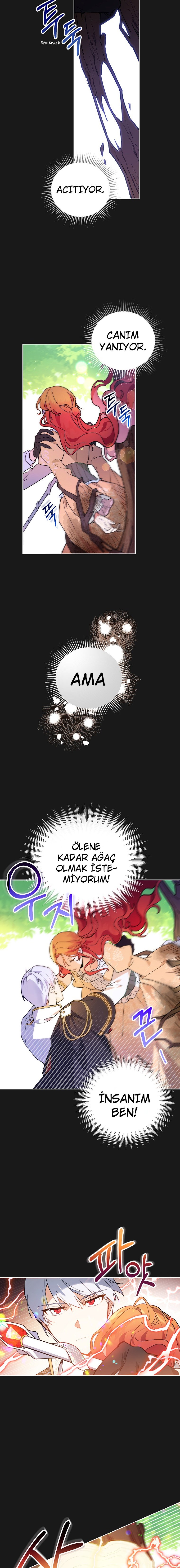 Çiçekleri Yeşerten Küçük Leydi İLK BÖLÜMÜ OKUMAYA GİT - Sayfa 11