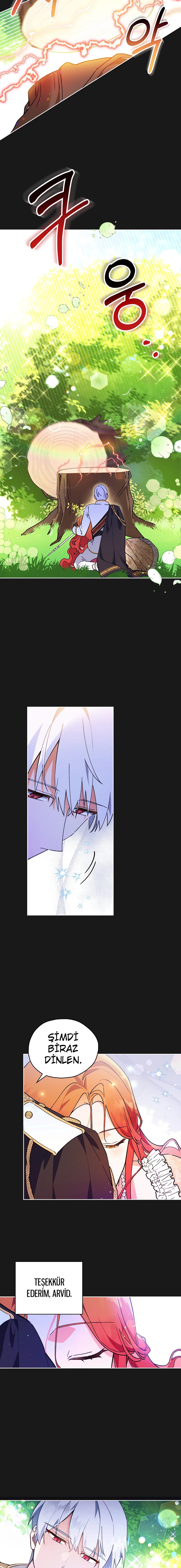 Çiçekleri Yeşerten Küçük Leydi İLK BÖLÜMÜ OKUMAYA GİT - Sayfa 12