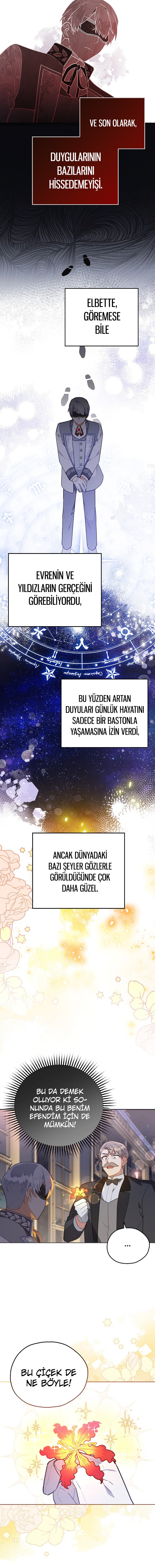 Çiçekleri Yeşerten Küçük Leydi Bölüm 10 - Sayfa 6