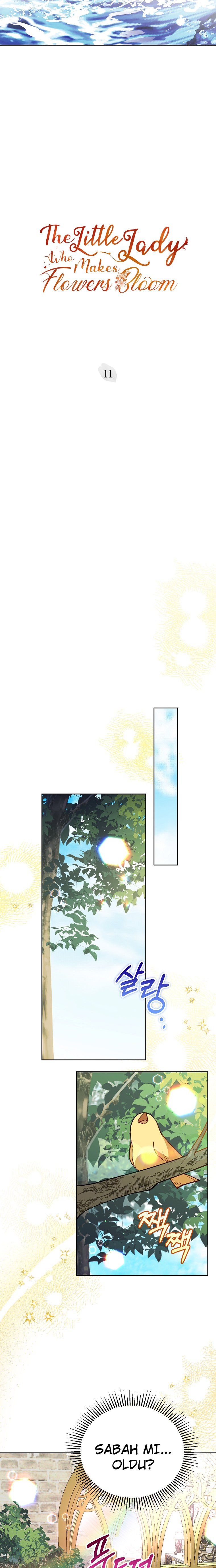 Çiçekleri Yeşerten Küçük Leydi Bölüm 11 - Sayfa 8