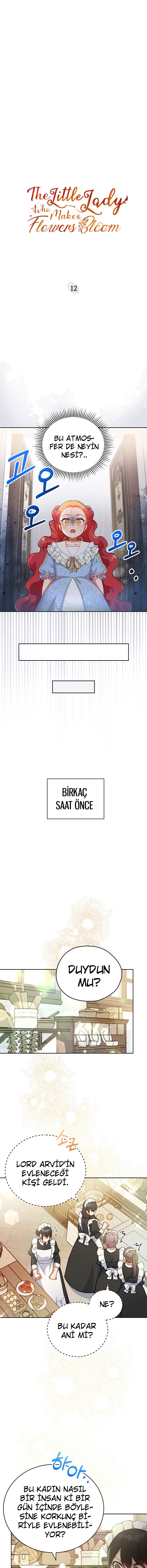 Çiçekleri Yeşerten Küçük Leydi Bölüm 12 - Sayfa 1