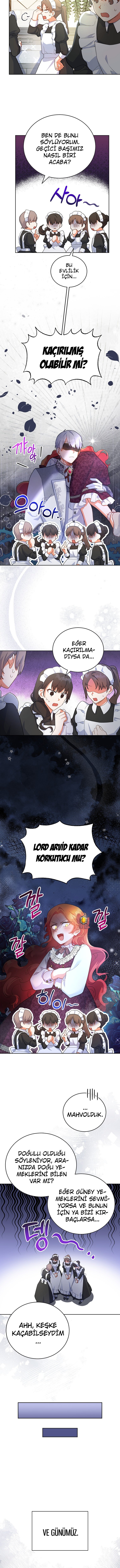 Çiçekleri Yeşerten Küçük Leydi Bölüm 12 - Sayfa 2