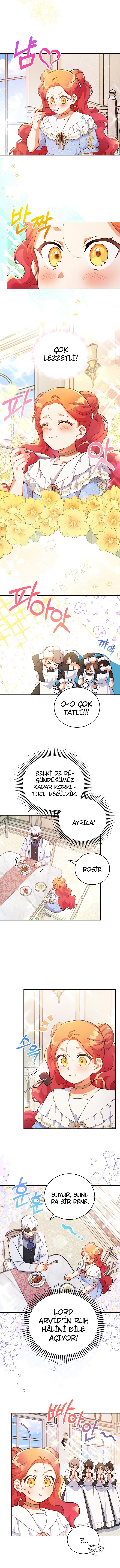 Çiçekleri Yeşerten Küçük Leydi Bölüm 12 - Sayfa 4