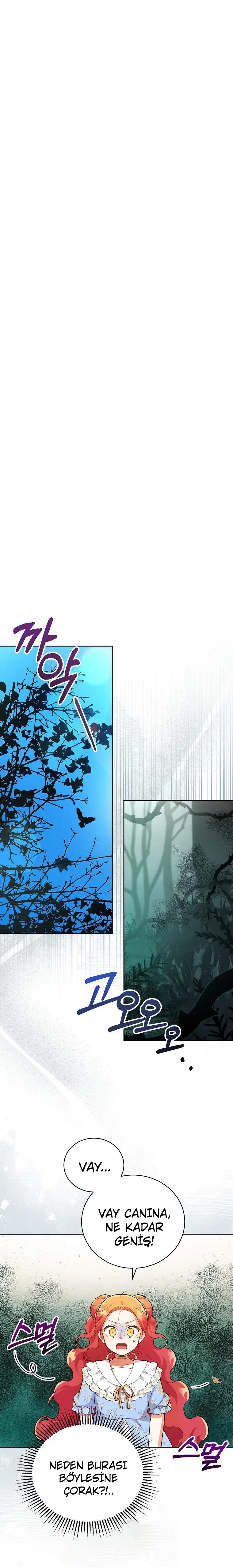 Çiçekleri Yeşerten Küçük Leydi Bölüm 13 - Sayfa 1