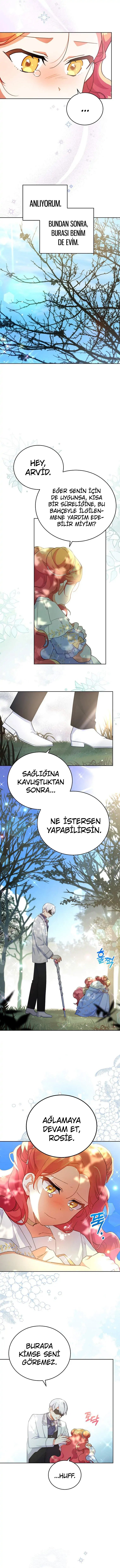 Çiçekleri Yeşerten Küçük Leydi Bölüm 13 - Sayfa 5