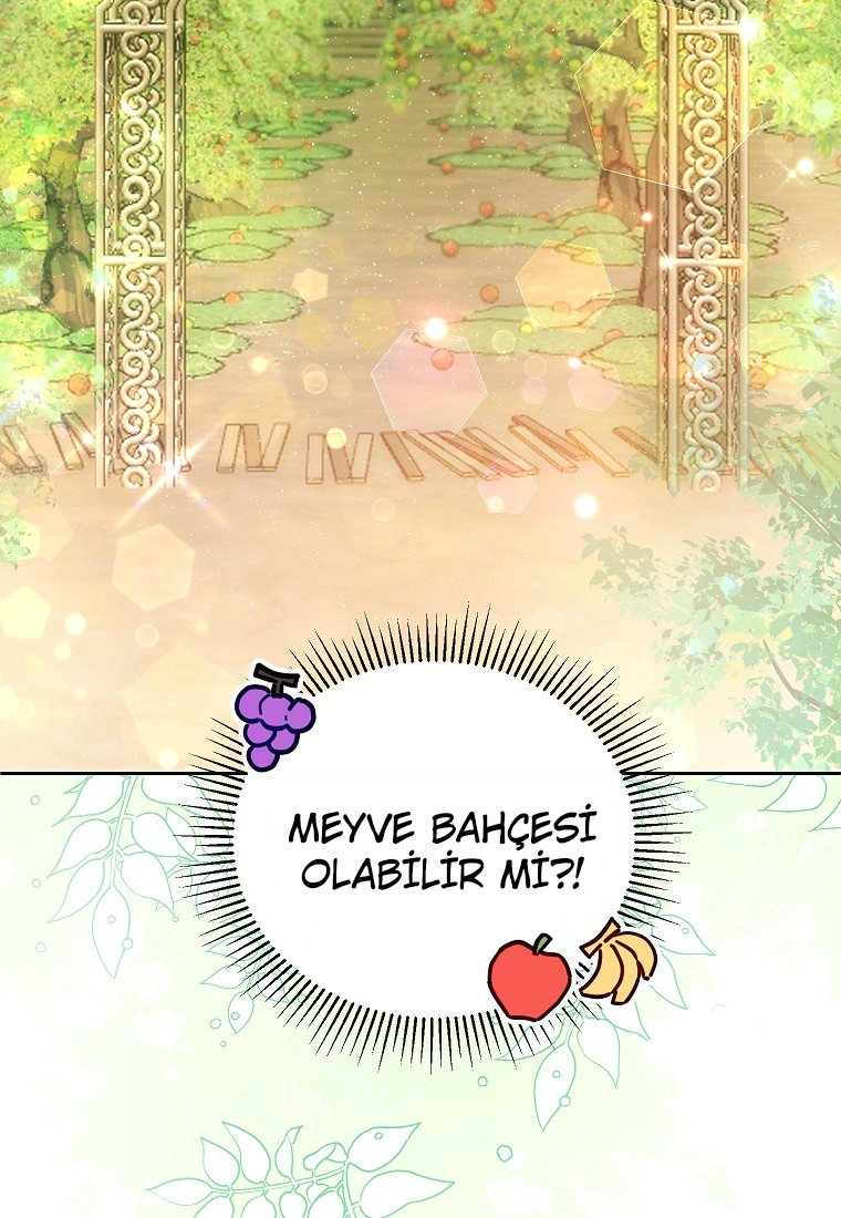 Çiçekleri Yeşerten Küçük Leydi Bölüm 18 - Sayfa 5
