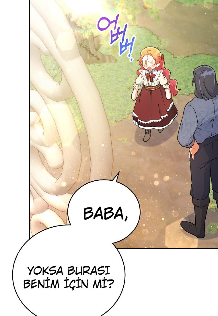 Çiçekleri Yeşerten Küçük Leydi Bölüm 18 - Sayfa 17