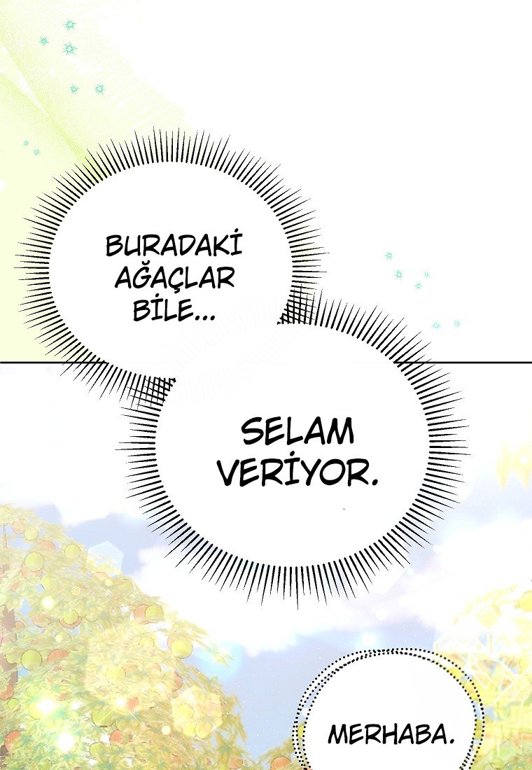 Çiçekleri Yeşerten Küçük Leydi Bölüm 18 - Sayfa 35