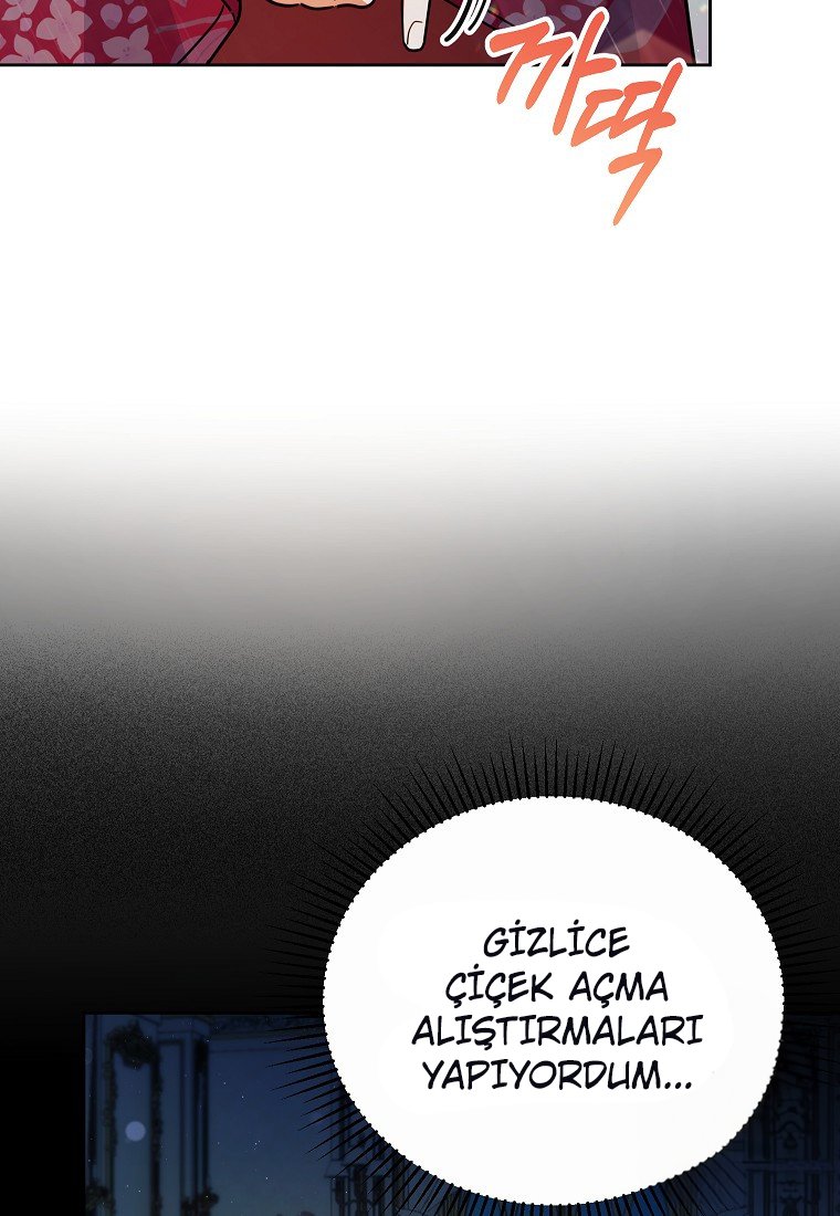 Çiçekleri Yeşerten Küçük Leydi Bölüm 19 - Sayfa 36