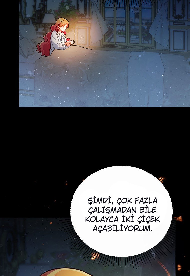 Çiçekleri Yeşerten Küçük Leydi Bölüm 19 - Sayfa 37