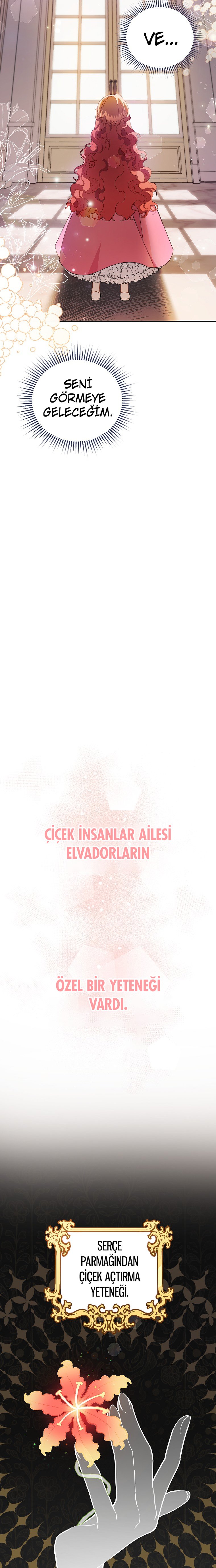 Çiçekleri Yeşerten Küçük Leydi Bölüm 2 - Sayfa 10