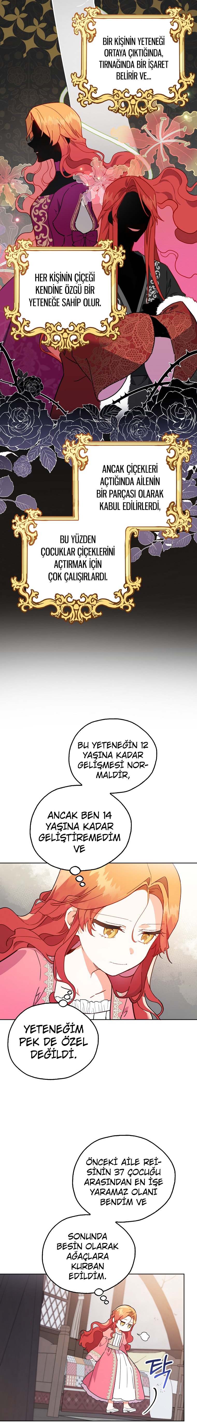 Çiçekleri Yeşerten Küçük Leydi Bölüm 2 - Sayfa 11