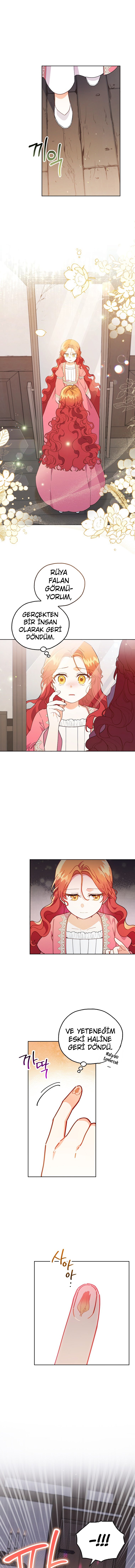 Çiçekleri Yeşerten Küçük Leydi Bölüm 2 - Sayfa 12