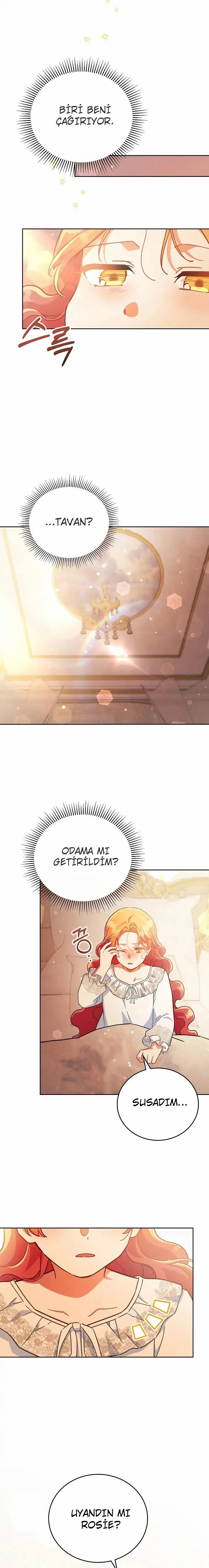 Çiçekleri Yeşerten Küçük Leydi Bölüm 22 - Sayfa 6