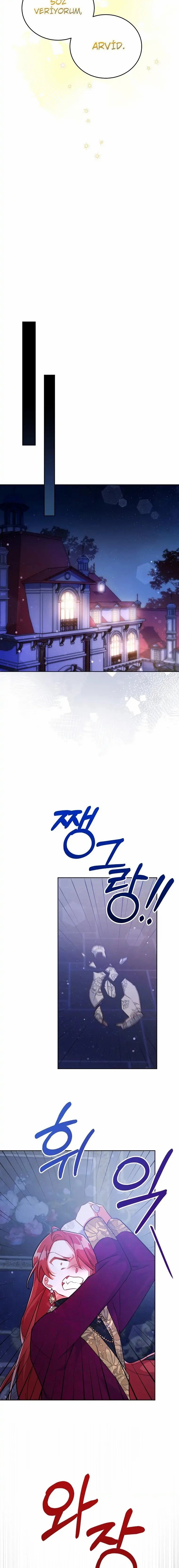 Çiçekleri Yeşerten Küçük Leydi Bölüm 22 - Sayfa 17