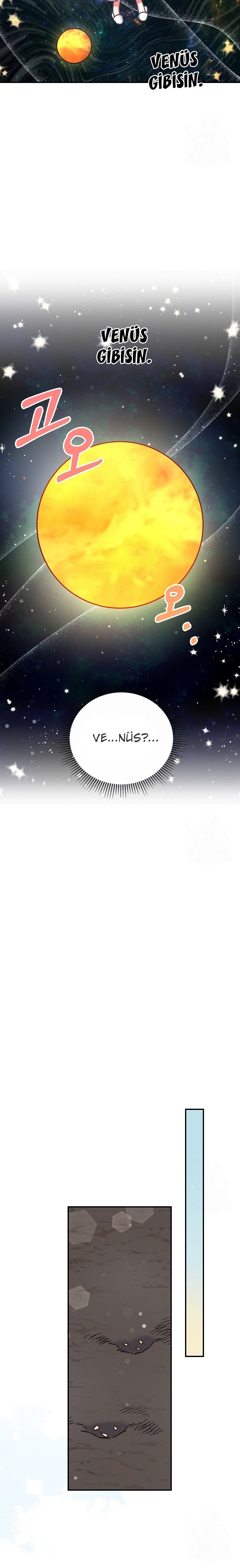 Çiçekleri Yeşerten Küçük Leydi Bölüm 25 - Sayfa 12