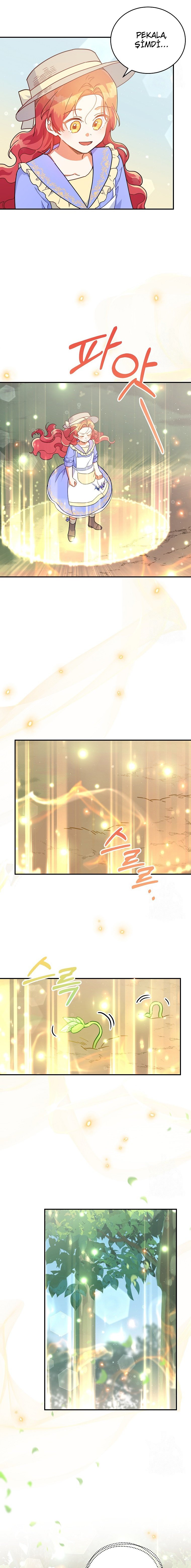 Çiçekleri Yeşerten Küçük Leydi Bölüm 25 - Sayfa 14