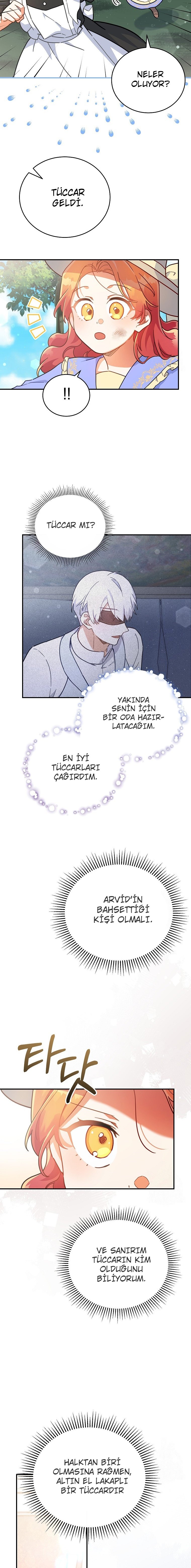 Çiçekleri Yeşerten Küçük Leydi Bölüm 25 - Sayfa 17