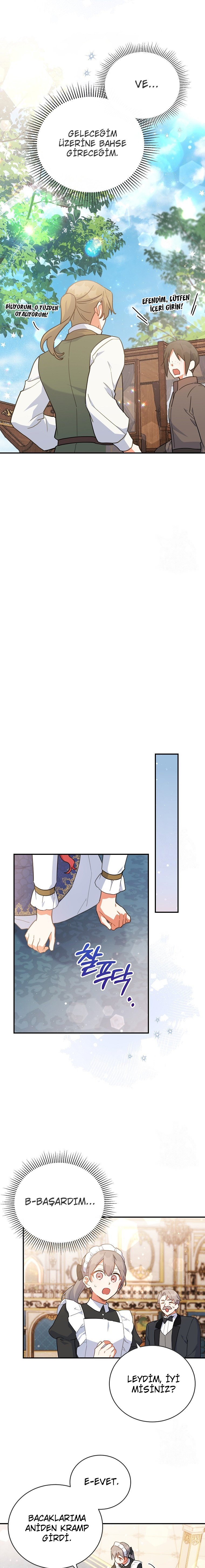 Çiçekleri Yeşerten Küçük Leydi Bölüm 27 - Sayfa 17