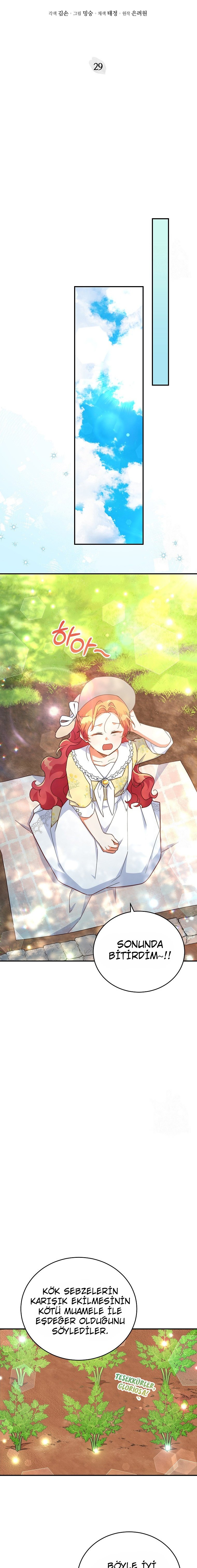 Çiçekleri Yeşerten Küçük Leydi Bölüm 29 - Sayfa 17