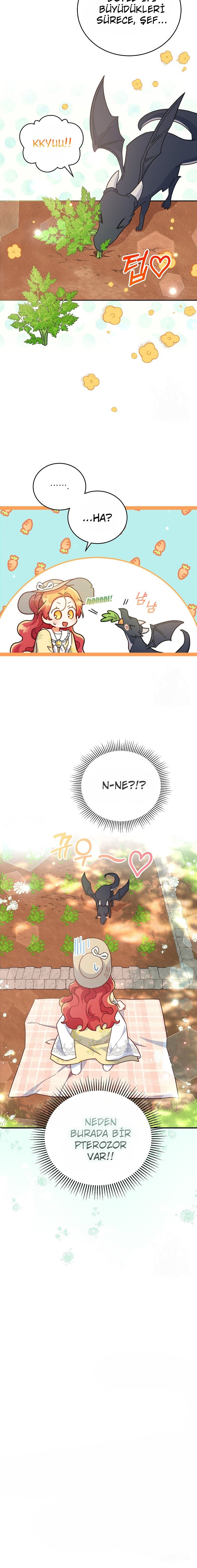 Çiçekleri Yeşerten Küçük Leydi Bölüm 29 - Sayfa 18