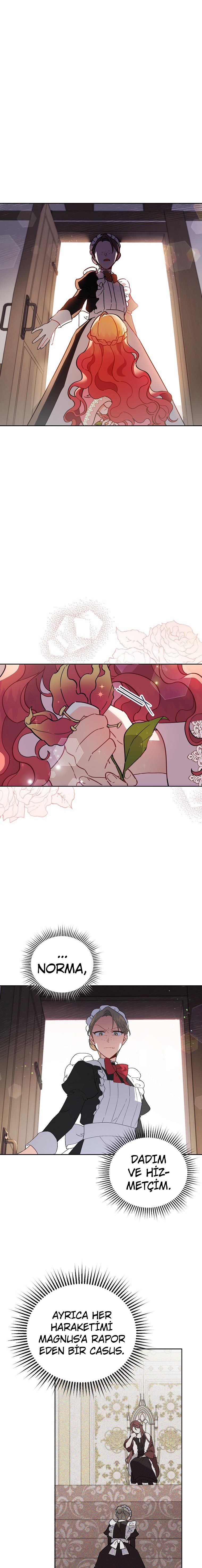 Çiçekleri Yeşerten Küçük Leydi Bölüm 3 - Sayfa 1