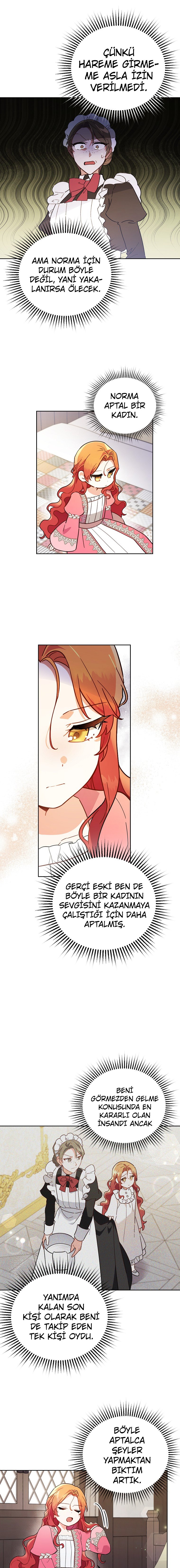 Çiçekleri Yeşerten Küçük Leydi Bölüm 3 - Sayfa 6