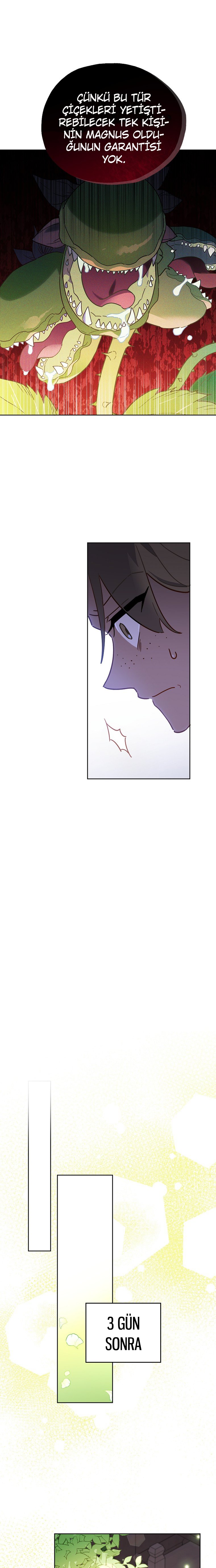 Çiçekleri Yeşerten Küçük Leydi Bölüm 3 - Sayfa 11