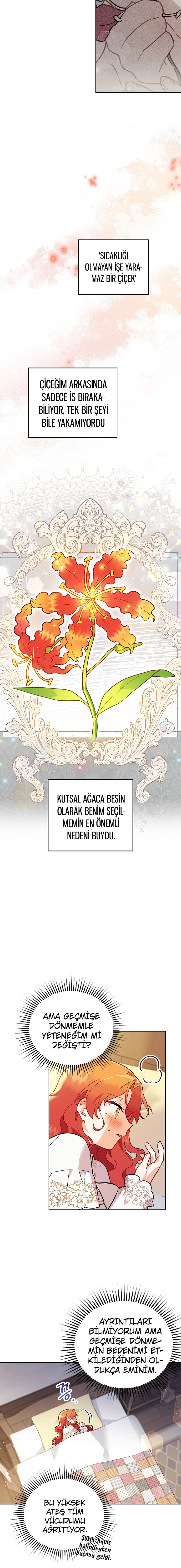 Çiçekleri Yeşerten Küçük Leydi Bölüm 3 - Sayfa 14