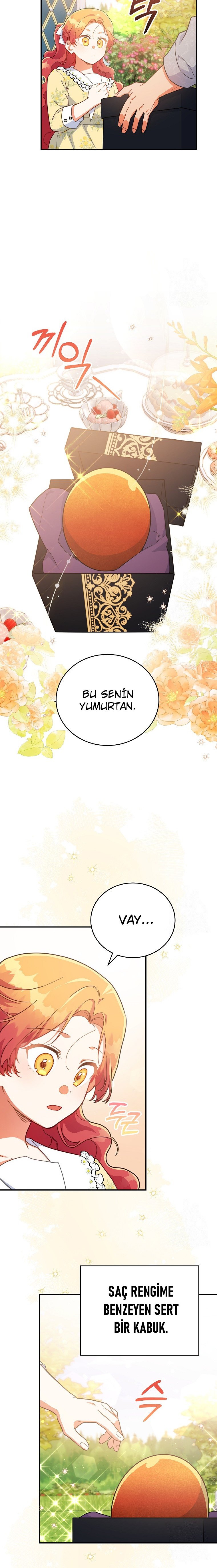 Çiçekleri Yeşerten Küçük Leydi Bölüm 30 - Sayfa 9