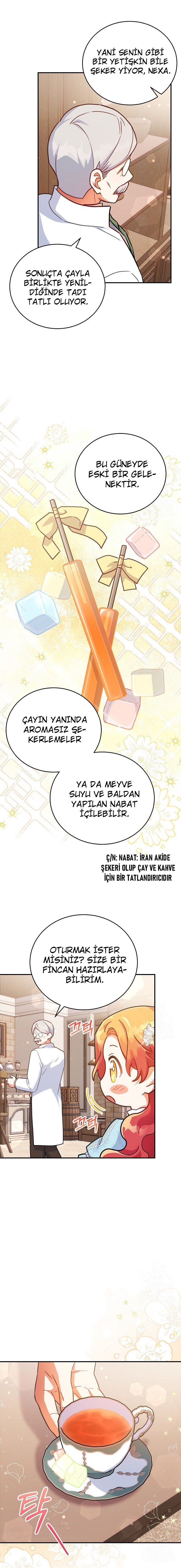 Çiçekleri Yeşerten Küçük Leydi Bölüm 33 - Sayfa 2