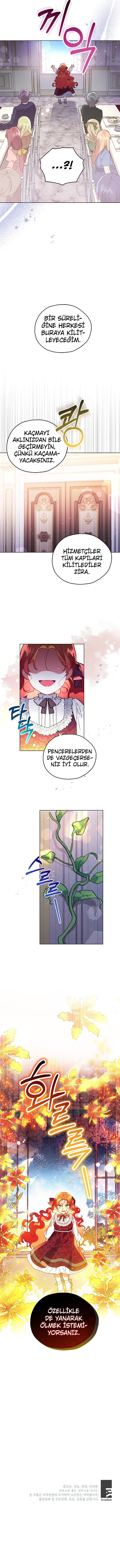 Çiçekleri Yeşerten Küçük Leydi Bölüm 4 - Sayfa 15