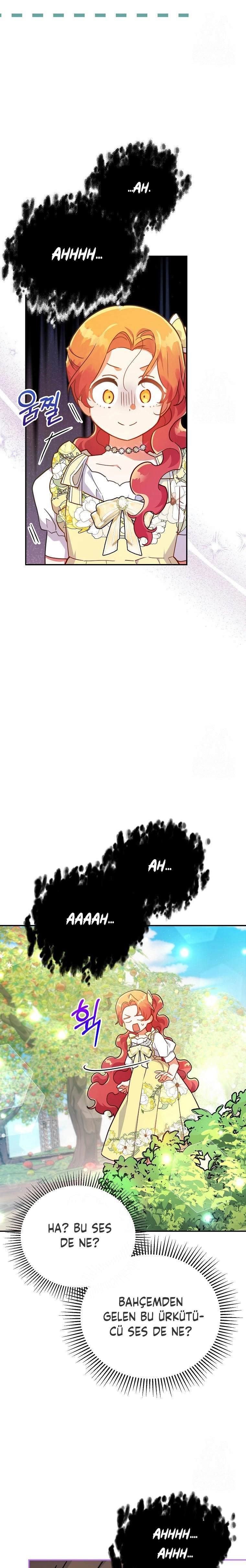 Çiçekleri Yeşerten Küçük Leydi Bölüm 46 - Sayfa 19