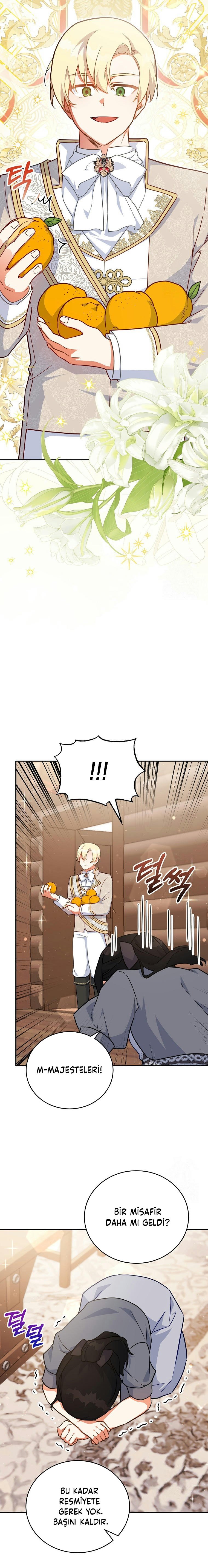 Çiçekleri Yeşerten Küçük Leydi Bölüm 47 - Sayfa 16