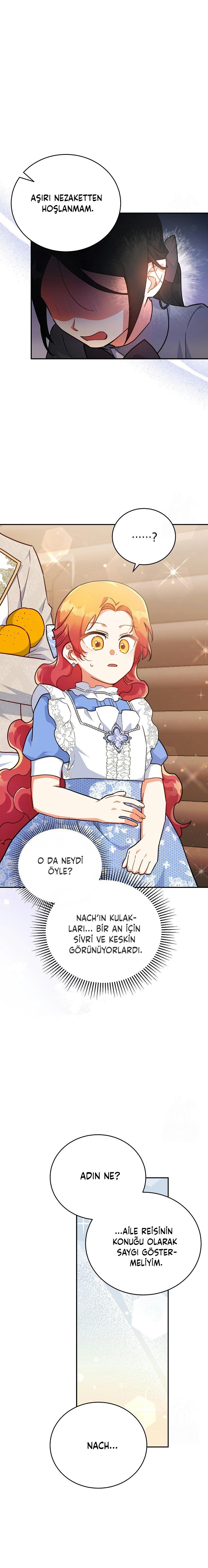 Çiçekleri Yeşerten Küçük Leydi Bölüm 47 - Sayfa 17