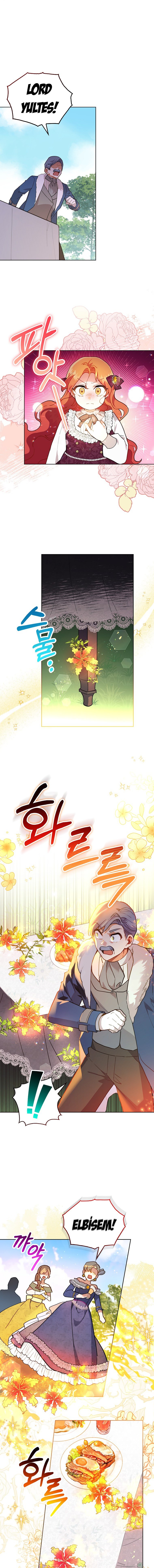 Çiçekleri Yeşerten Küçük Leydi Bölüm 5 - Sayfa 12