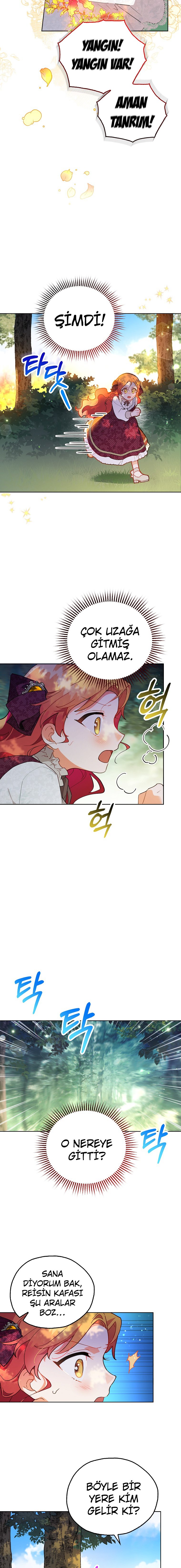 Çiçekleri Yeşerten Küçük Leydi Bölüm 5 - Sayfa 13