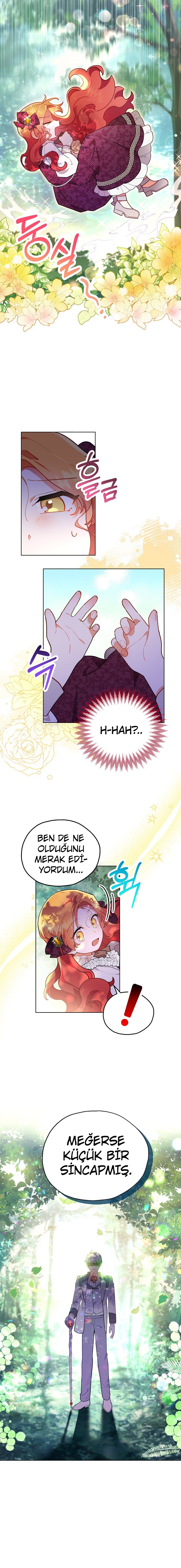 Çiçekleri Yeşerten Küçük Leydi Bölüm 6 - Sayfa 11