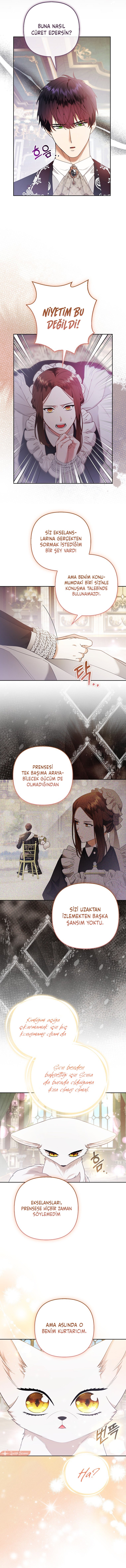 Dük ve Tilki Prenses SON BÖLÜMÜ OKUMAYA GİT - Sayfa 5