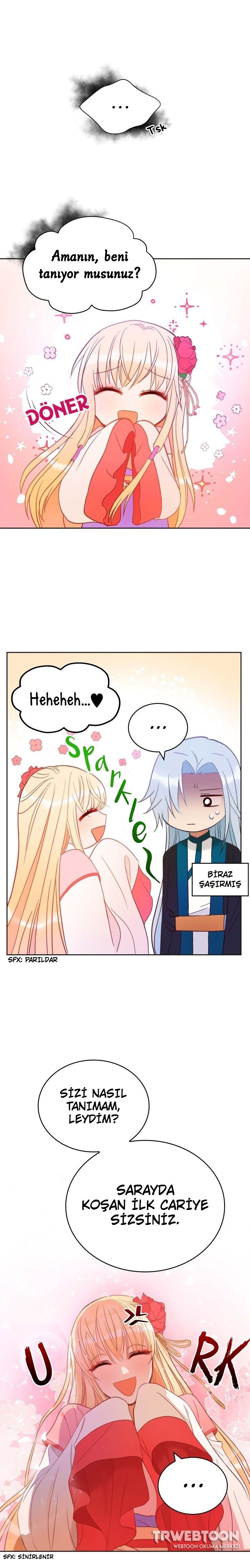 Sözleşmeli Cariye Bölüm 10 - Sayfa 8