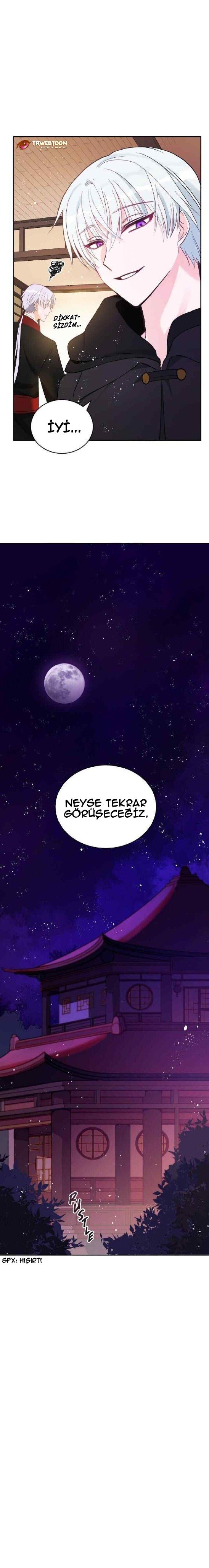 Sözleşmeli Cariye Bölüm 13 - Sayfa 13