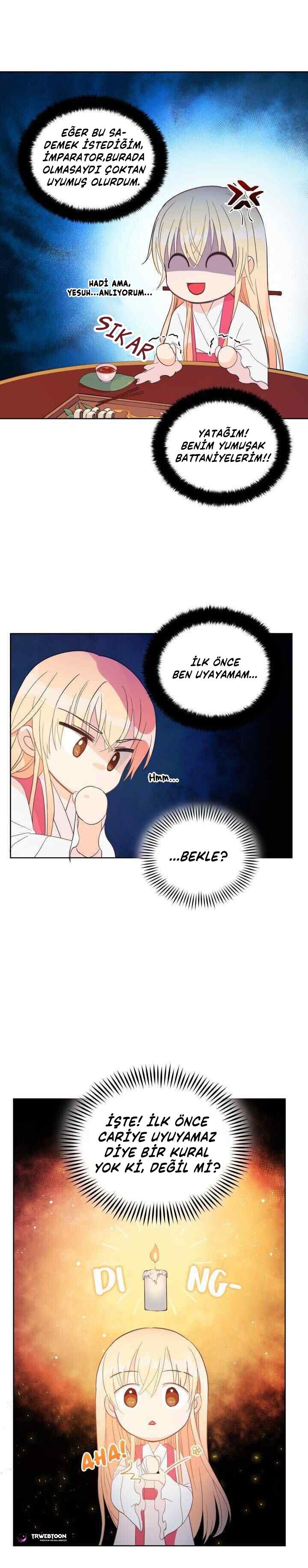 Sözleşmeli Cariye Bölüm 14 - Sayfa 8