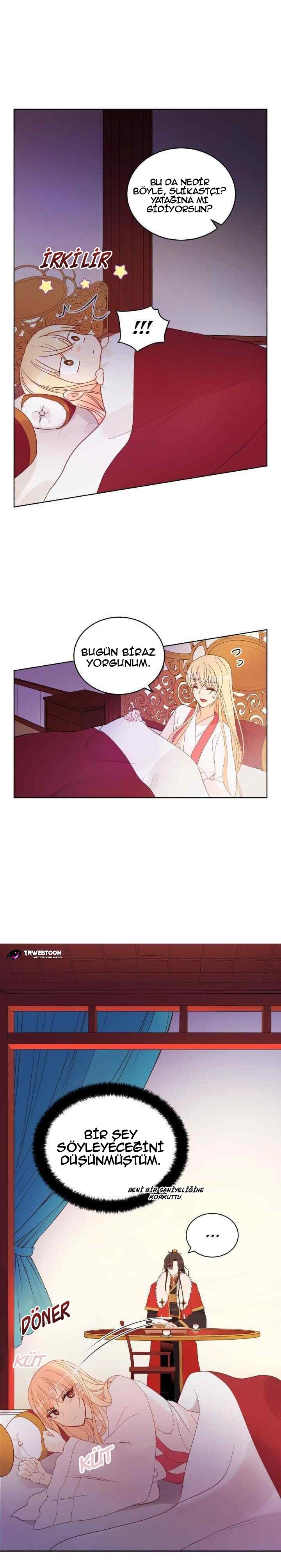 Sözleşmeli Cariye Bölüm 14 - Sayfa 10