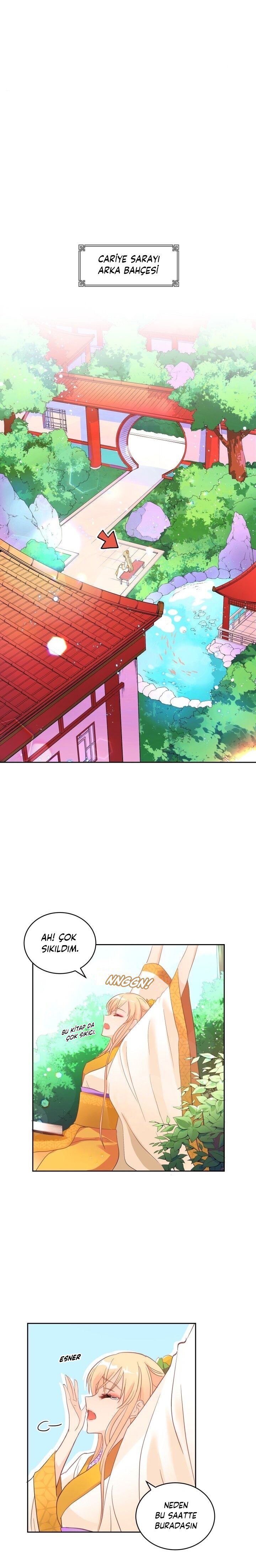 Sözleşmeli Cariye Bölüm 20 - Sayfa 1