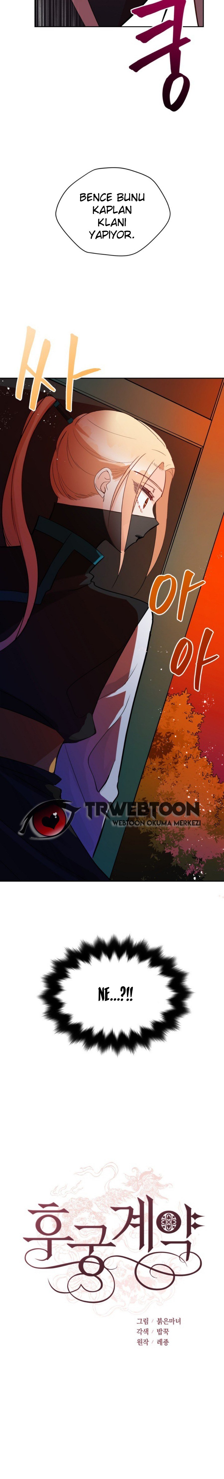 Sözleşmeli Cariye Bölüm 27 - Sayfa 12