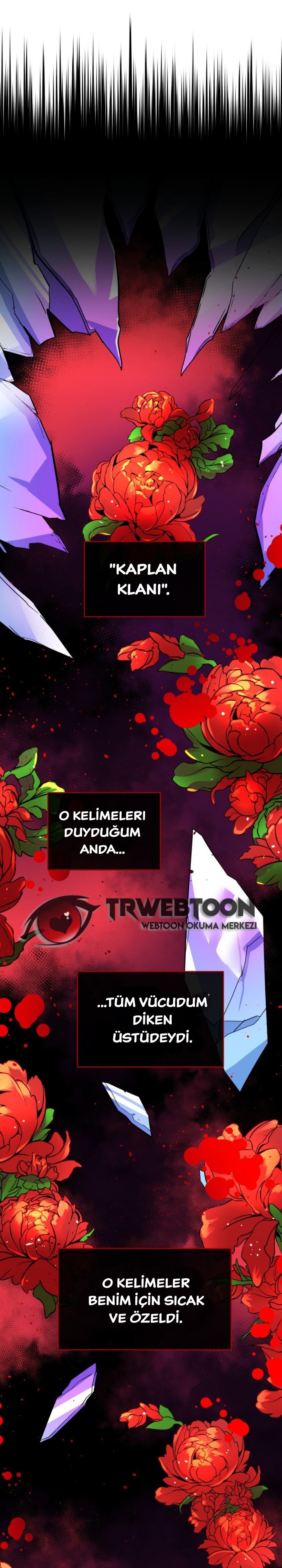 Sözleşmeli Cariye Bölüm 27 - Sayfa 13