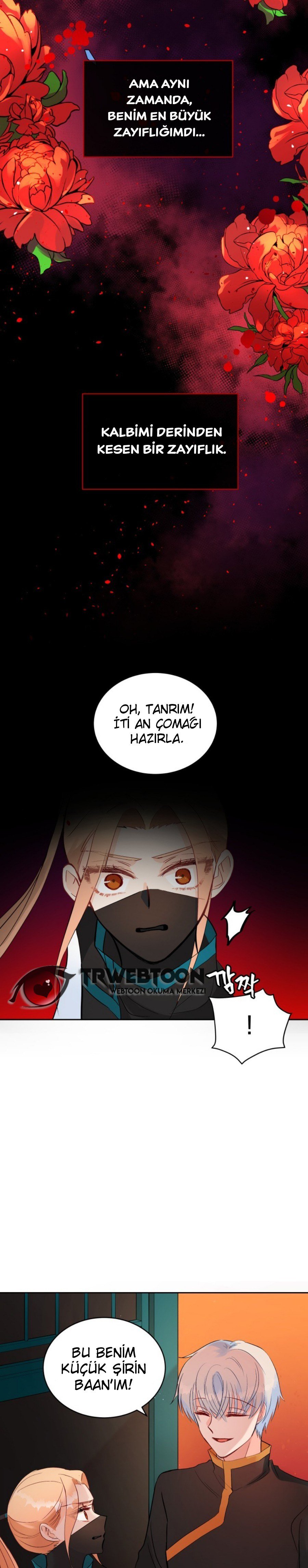 Sözleşmeli Cariye Bölüm 27 - Sayfa 14